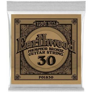 ERNIE BALL EB1830