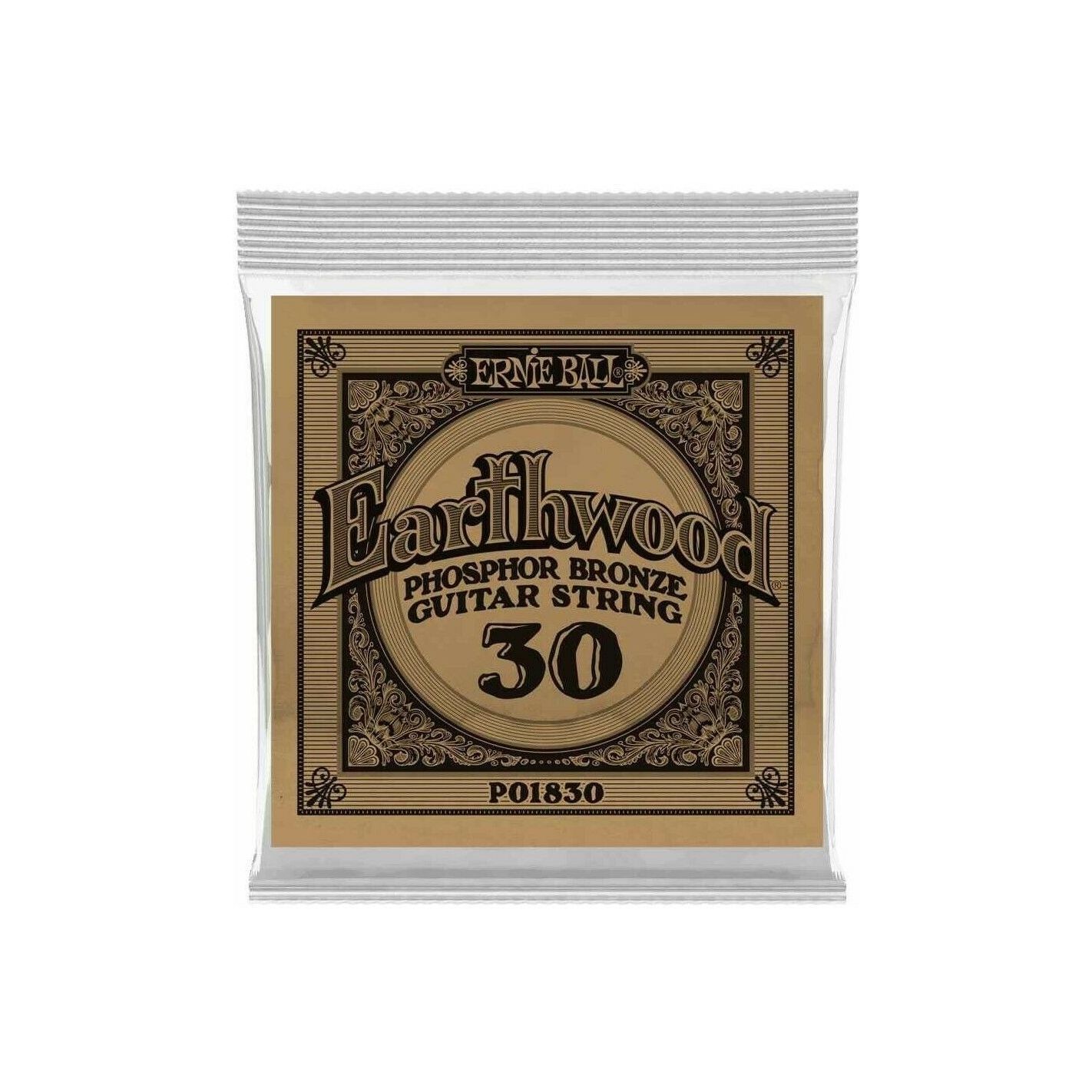 ERNIE BALL EB1830