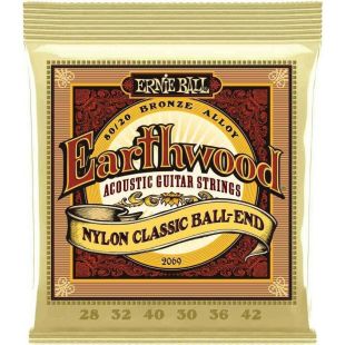 ERNIE BALL EB2069