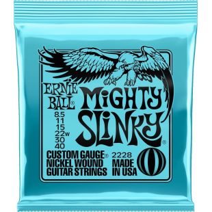 ERNIE BALL EB2228