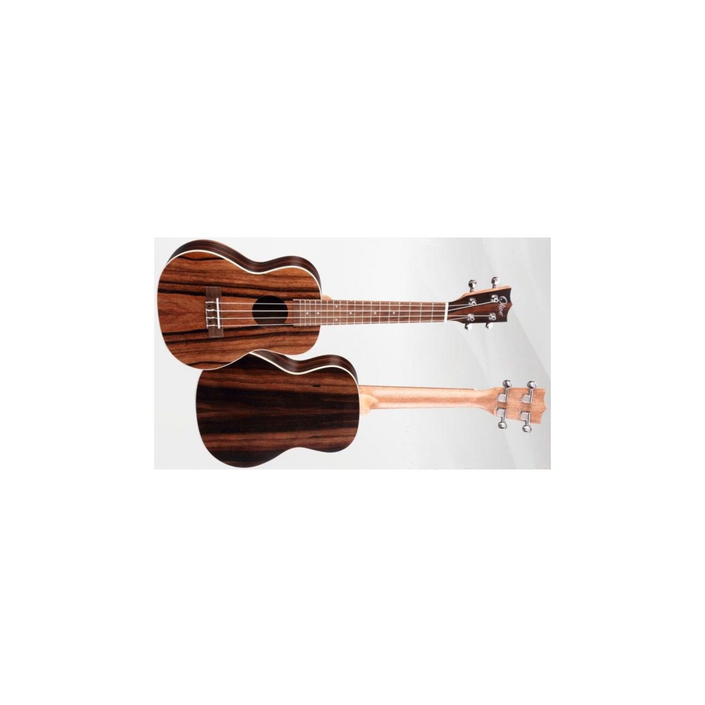 BONES GUITARS UKELELE CONCERT SP260C EBONY