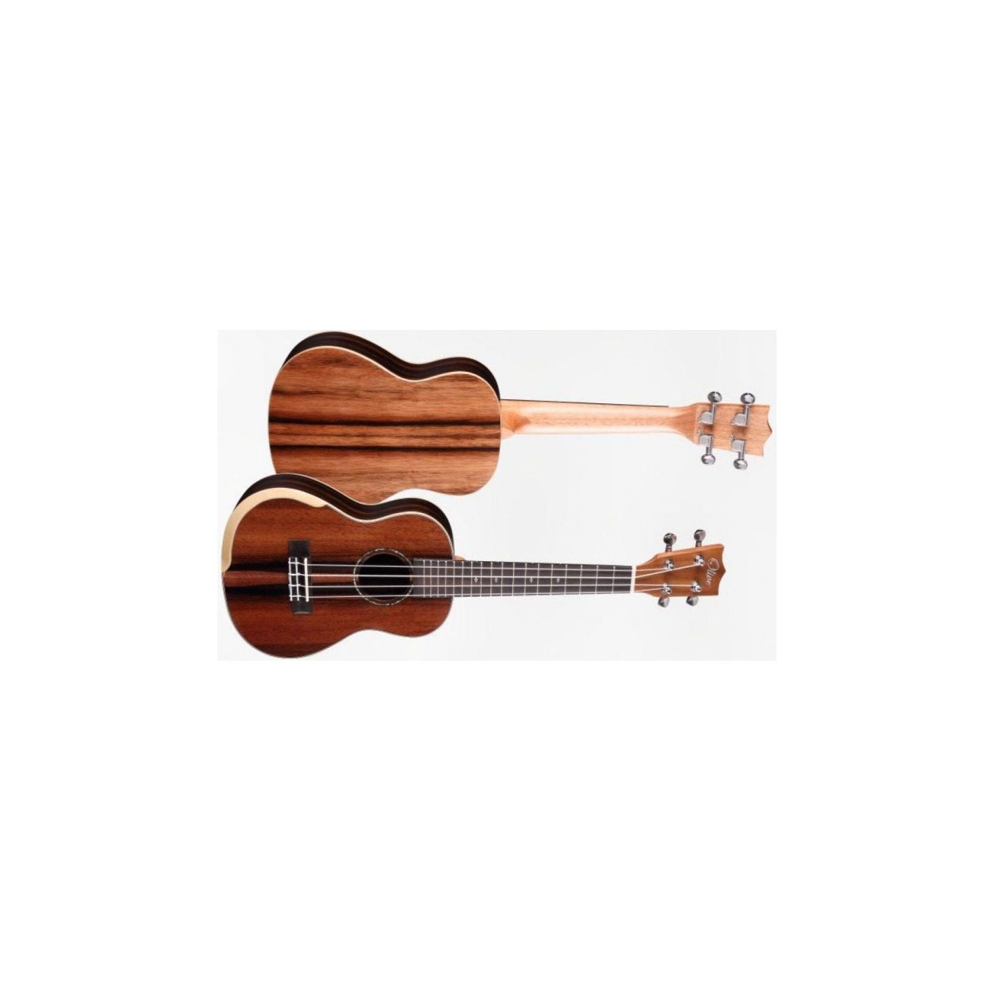 BONES GUITARS UKELELE CONCERT SP330C EBONY CON REBAJE BRAZOS