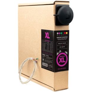 DADDARIO EXL120-B25