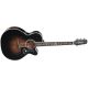TAKAMINE EF450C-TT TBB