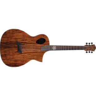 MICHAEL KELLY FORTE PORT KOA