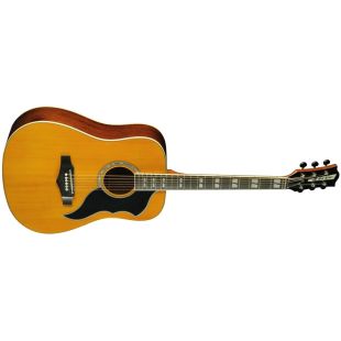 EKO RANGER VI VR EQ NATURAL TOP STAINED