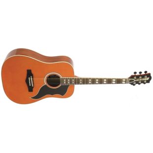 EKO RANGER VI VR NATURAL TOP STAINED