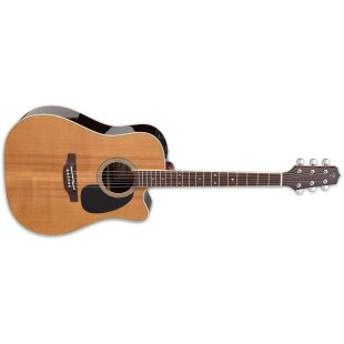 TAKAMINE EF360SC-TT