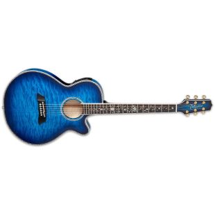 TAKAMINE TSP100-DBS
