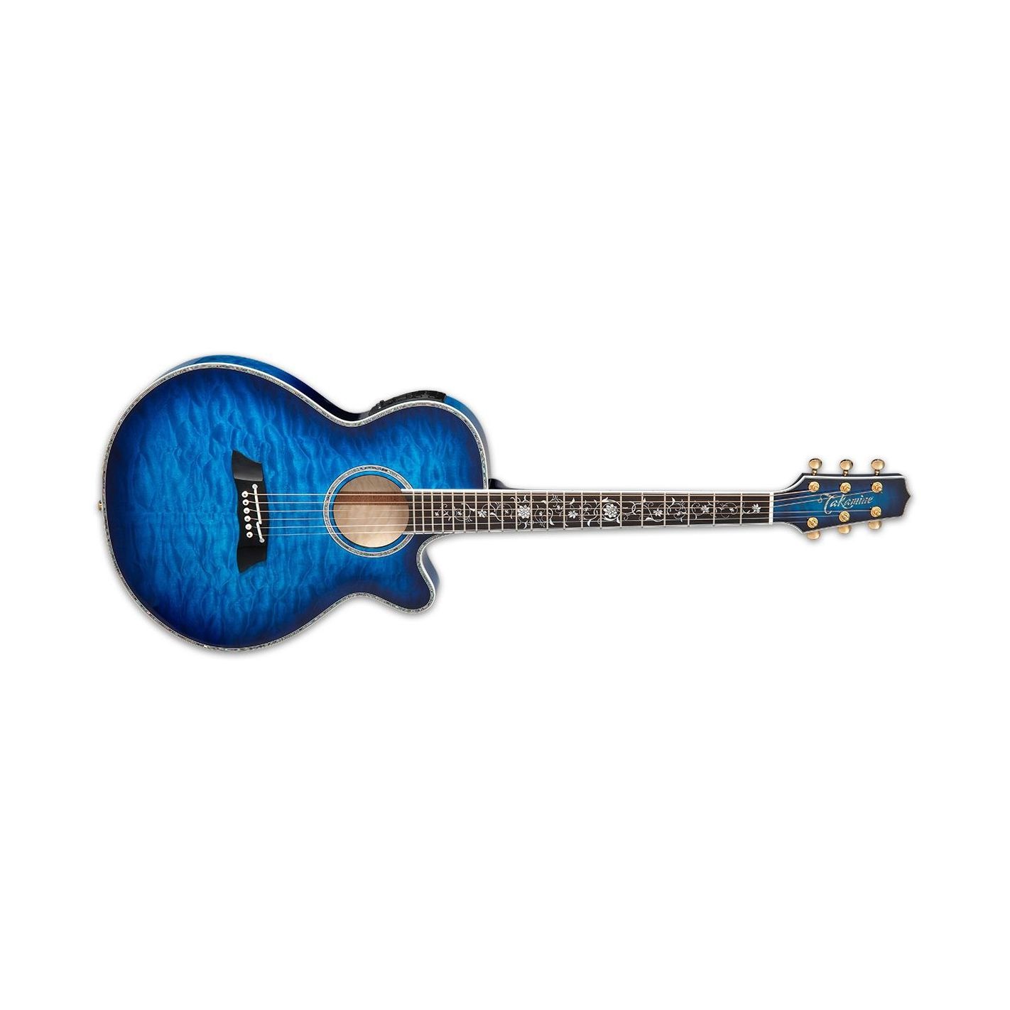 TAKAMINE TSP100-DBS