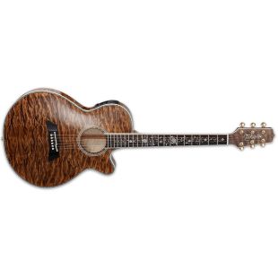 TAKAMINE TSP100-VT