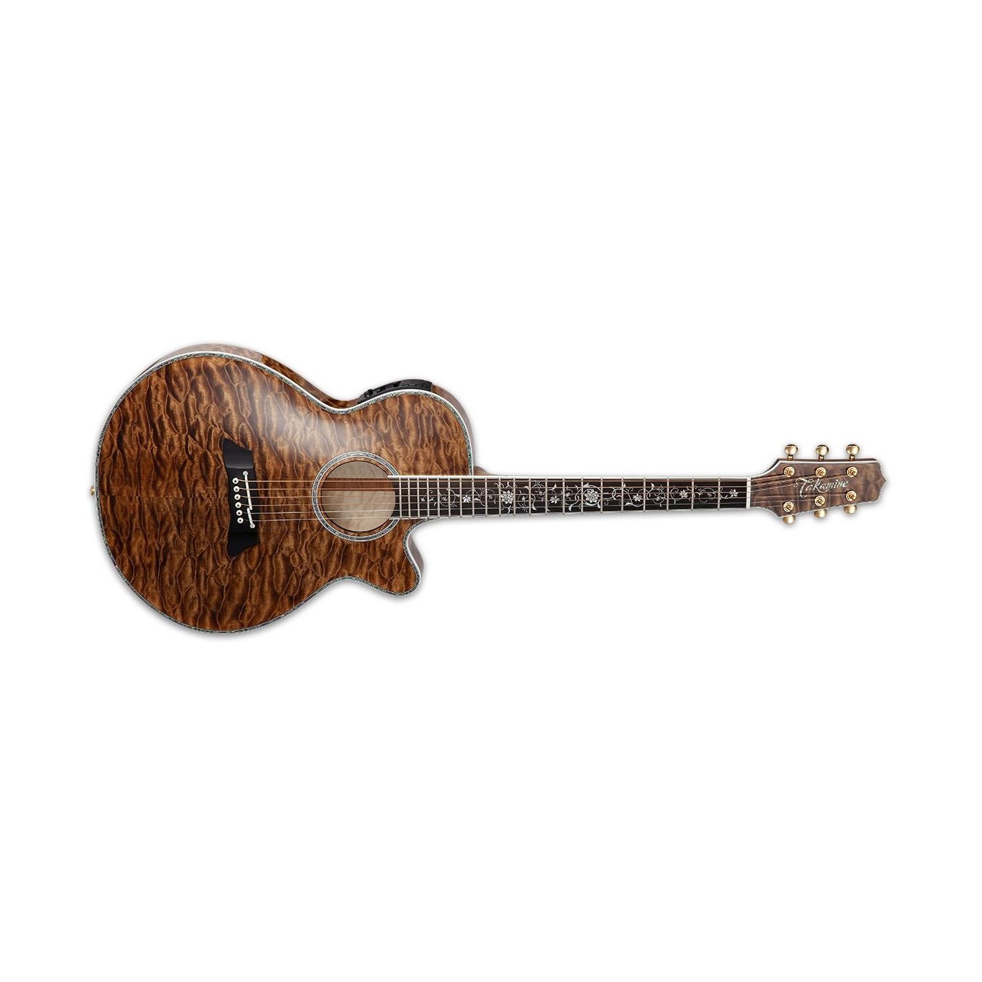 TAKAMINE TSP100-VT