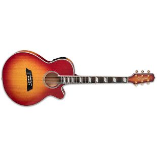 TAKAMINE TSP178AC-FCB