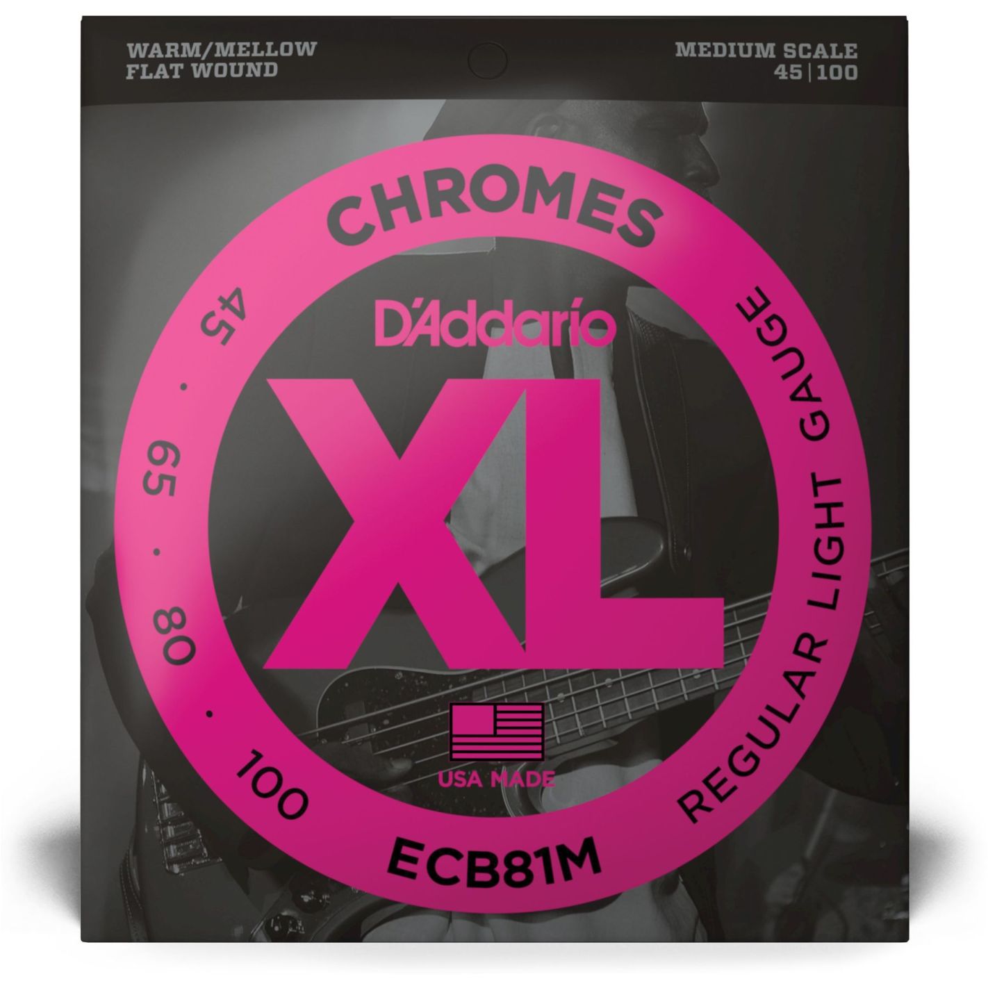 DADDARIO ECB81M